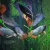 arapaima fish for sale
